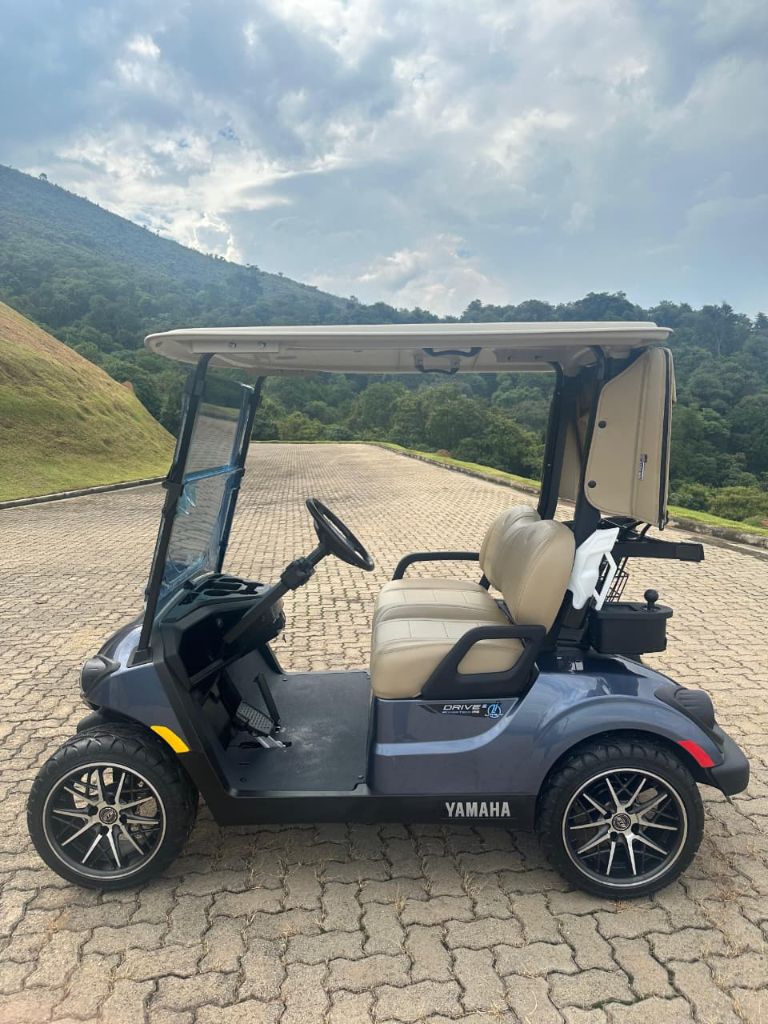 Yamaha Cinza Side View